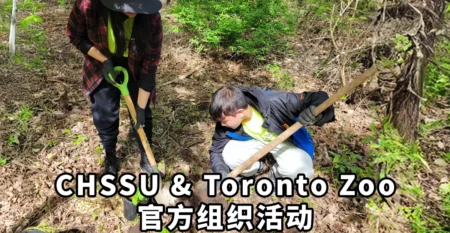 planting-copy