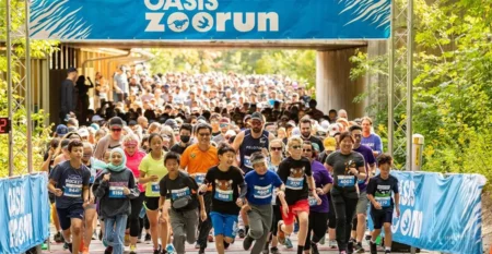 zoorun copy